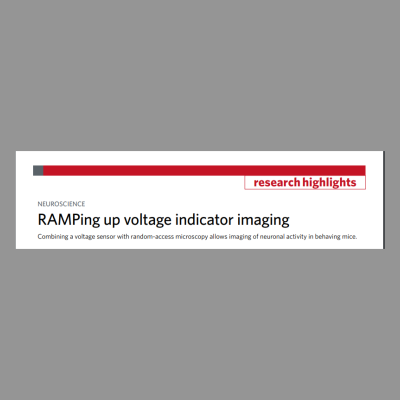 RAMPing up voltage indicator imaging